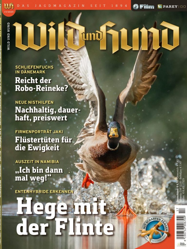 Titelbild "Wild und Hund" Ausgabe 17/2025 mit dem Bergischen Entenbrutkorb 