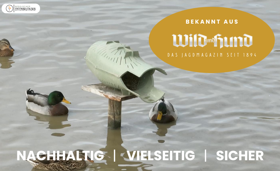 Entenbrutkorb auf einem Holzpfahl in einem Teich mit Enten - Bekannt aus "Wild und Hund" - Nachhaltig, Vielseitig, Sicher